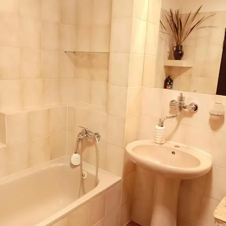 Alena - Apartment Karlovy Vary